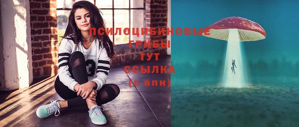 прущие крисы Аркадак