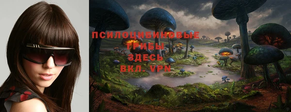 мдпв Арсеньев